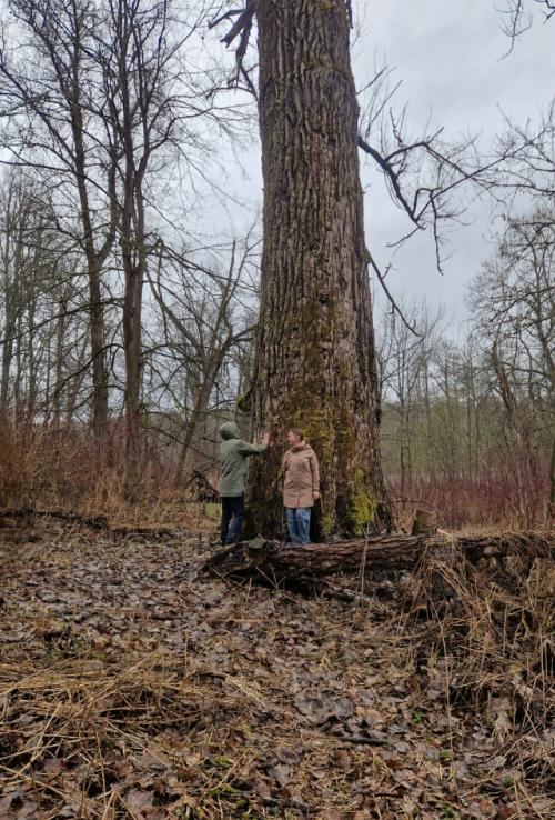 Посетили усадьбу Барышниковых в алексино смоленской области. 08