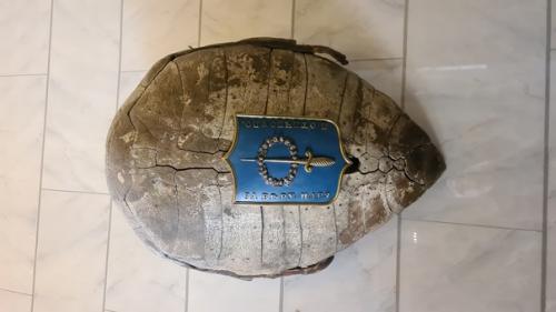 Что может быть лучше, чем провести прекрасный солнечный день вместе с детьми в таком прекрасном месте? 07 Что может быть лучше, чем провести прекрасный солнечный день вместе с детьми в таком прекрасном месте? 07