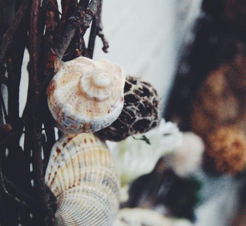 Как и многие пермяки с дефицитом витамина D, осенью, зимой и весной я мечтаю о море, а летом активно делаю вид, что вот-вот поеду. 04