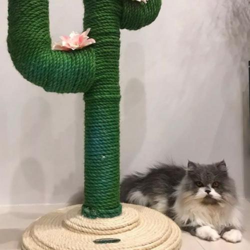 Как спроектировать и организовать интерьер, если в вашем доме живет кошка. 08