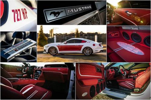 Ford Mustang получил уникальный интерьер. 04