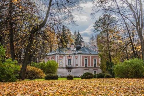 Дворец петра III в ораниенбауме. 01