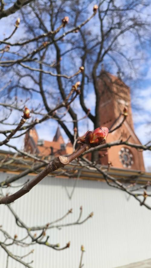 У меня бывают путешествия без красок.  