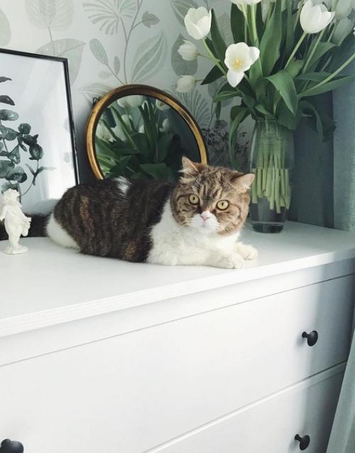 Уютная спальня. В светлых оттенках. 02