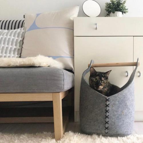 Как спроектировать и организовать интерьер, если в вашем доме живет кошка. 07