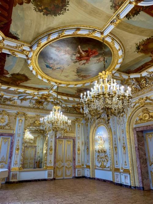 Посетив особняк половцова (дом архитекторов), у меня до сих пор сохраняется приятное послевкусие от увиденной роскоши и красоты. 04