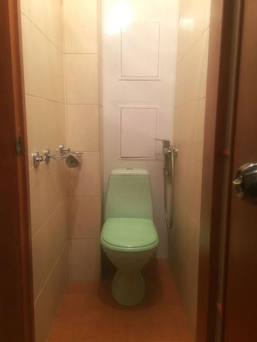 Уютная и светлая квартира рядом с метро пушкинская сдаётся с 14 апреля на длительный срок - 250$. 04