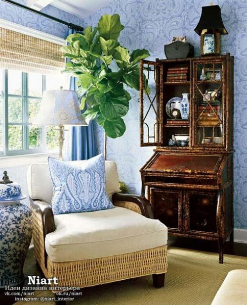 Неповторимость комнатных растений - фитодизайн.