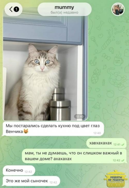 Когда-то она 5 лет уверяла всех, что в доме Никаких Котов. 01