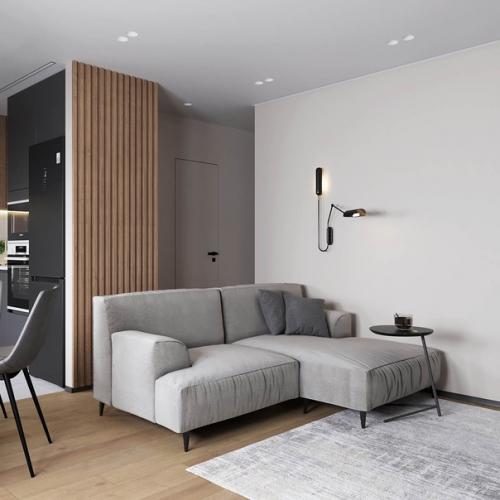 Современный интерьер 1-комнатной квартира для молодого человека. 04