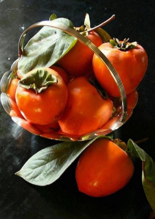 Хурма.  Немало людей занимается разведением комнатных растений. 01