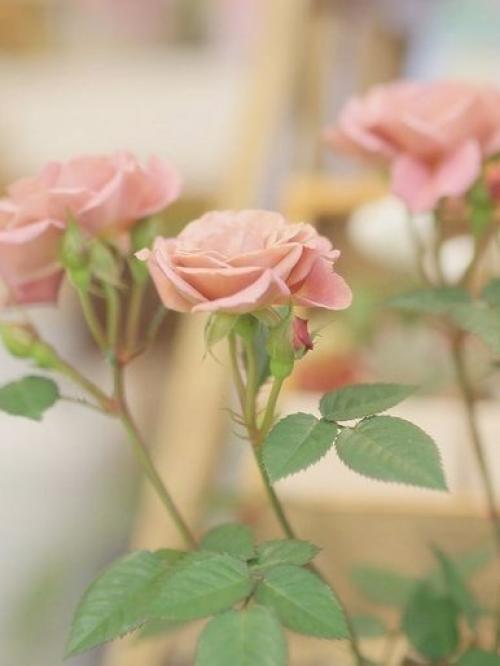 - Как это называется, когда у тебя внутри тепло, ты всем доволен и хочешь, чтобы все оставалось так, как есть? 02