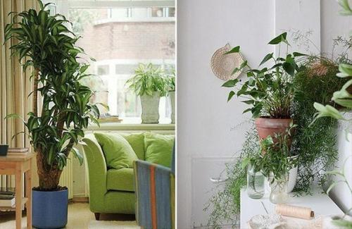 12 смелых решений, которые преобразят ваш дом. 04 12 смелых решений, которые преобразят ваш дом. 04