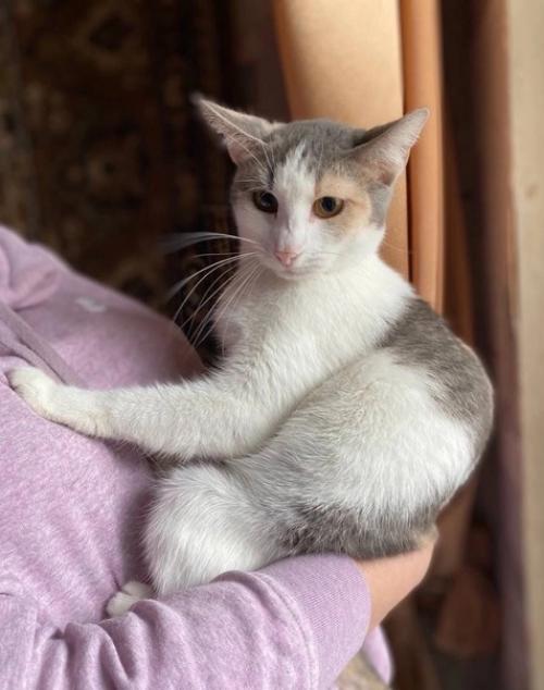 Московская область (раменское) и Москва. 02