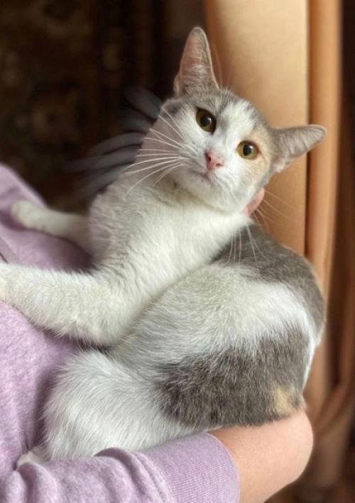 Московская область (раменское) и Москва. 01