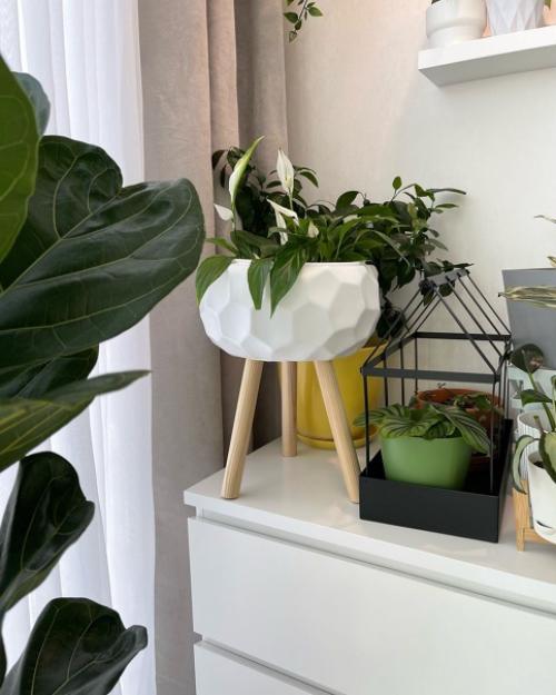 Ничто так не украшает скандинавский интерьер, как растения. 01