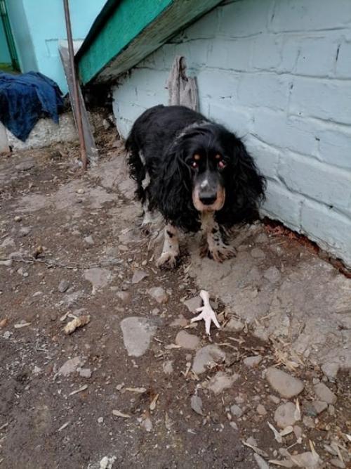 Цепь - цепи рознь. 02