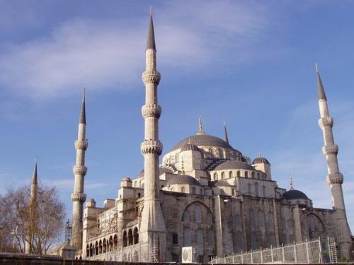 Голуба?  Я мече? 02