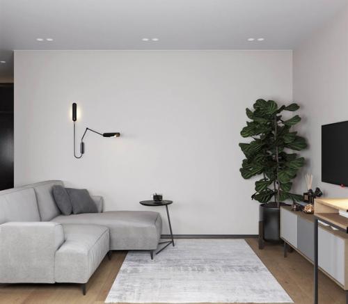 Современный интерьер 1-комнатной квартира для молодого человека. 03