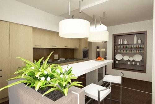 Растения для кухни? 03