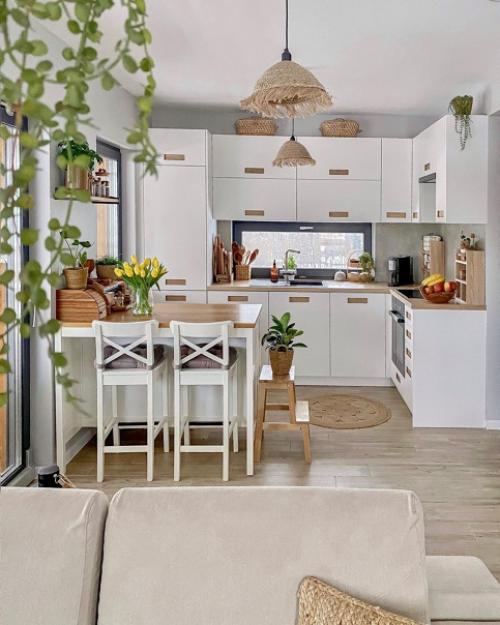 Просторный дом с мебелью Ikea и зелеными растениями. 07