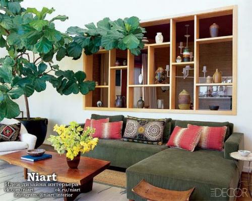 Неповторимость комнатных растений - фитодизайн. 06