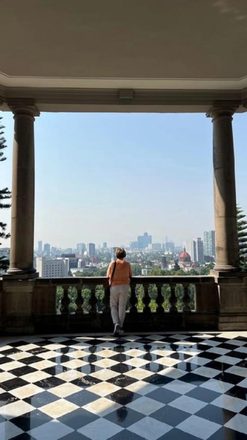 Чапультепекский дворец - бывшая резиденция губернаторов, императоров и президентов Мексики. 03