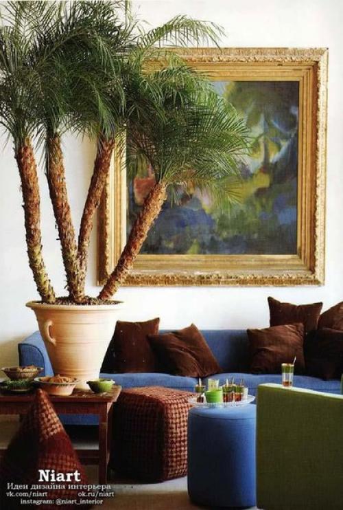 Неповторимость комнатных растений - фитодизайн. 05