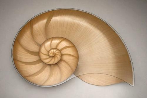 Симпатичный такой стол - ракушка Nautilus, экспериментальный дизайн марка фиша (Marc Fish). 02