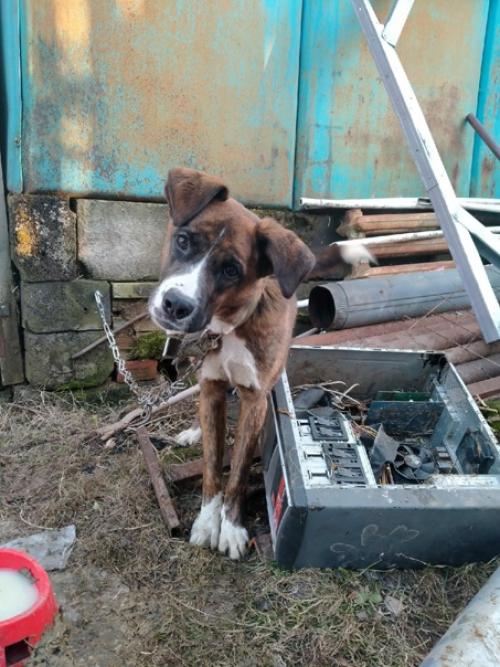 Цепь - цепи рознь. 01