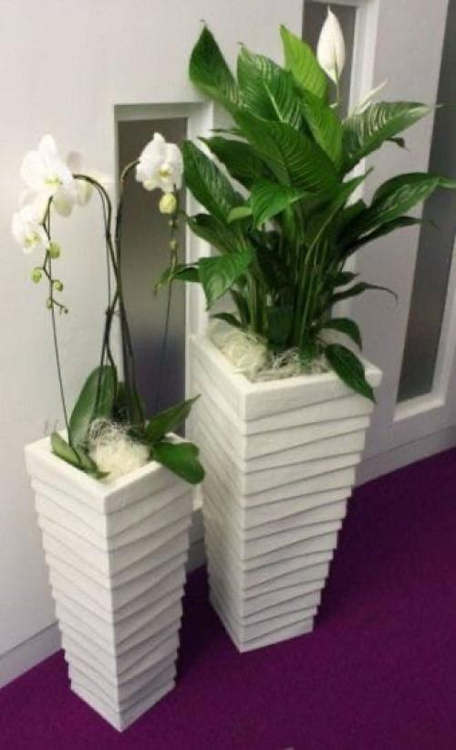 Зелень в интерьере жилища - это не только красиво, но и полезно. 03