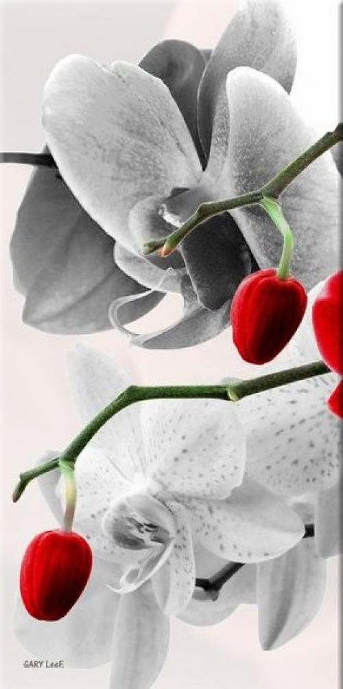 Мнение_цитаты. Мнение_алюшина_Татьяна. 02