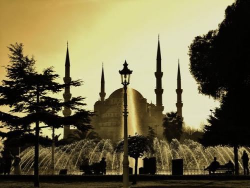 Голуба?  Я мече? 03