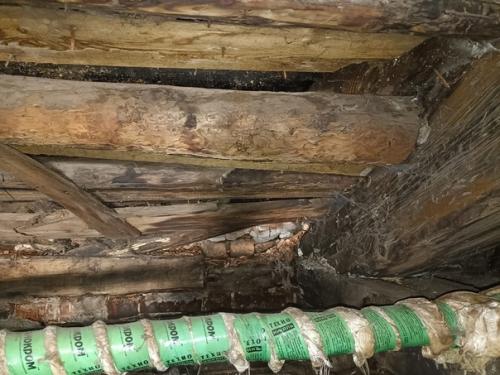 Дом купца первова постепенно просыхает после весеннего потопа. 01