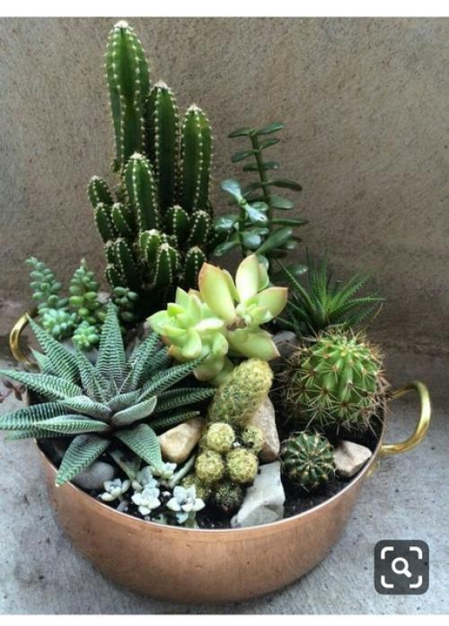 Домашние растения и цветы часто используются в качестве элементов интерьера в квартирах и домах. 06