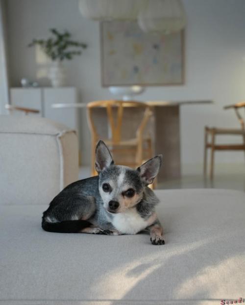 Красивые бежевые оттенки в дизайне уютного скандинавского дома. 05