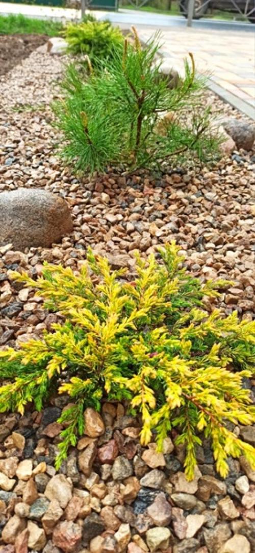 Дизайн территории вокруг кафе в локне: 07