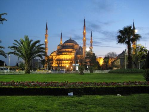 Голуба?  Я мече? 09