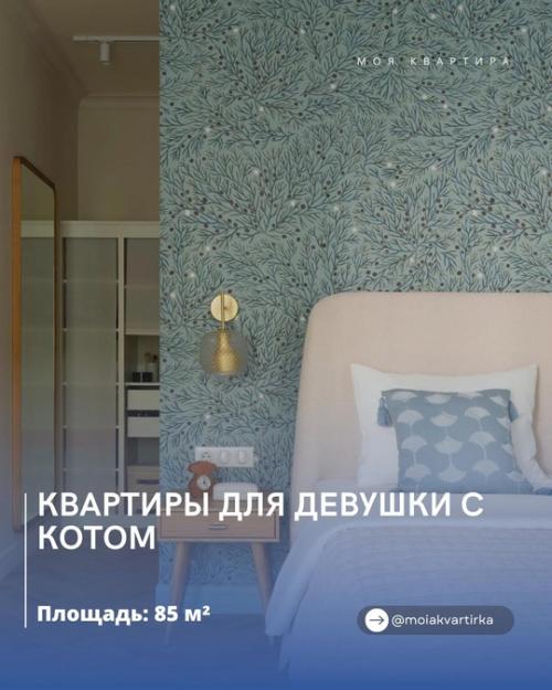 Идеальное пространство: для девушки и кота.
