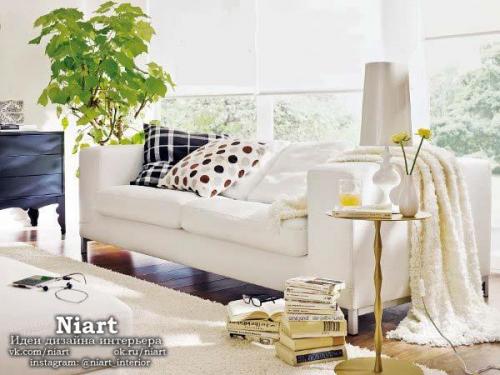 Неповторимость комнатных растений - фитодизайн. 02