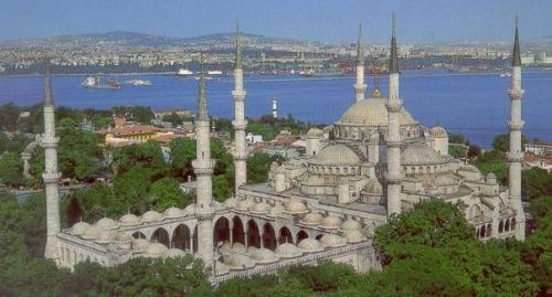 Голуба?  Я мече? 01