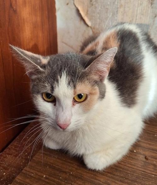 Московская область (раменское) и Москва. 03