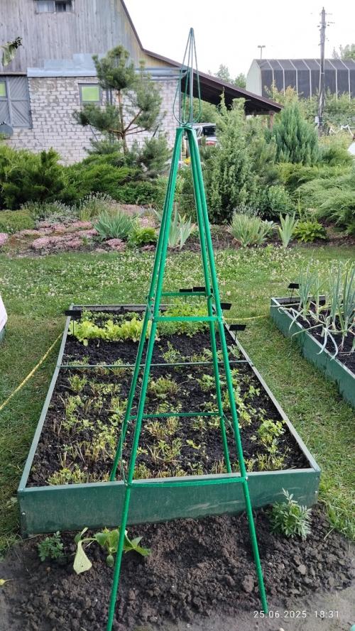 Вести с дачных Полей (продолжение. 05