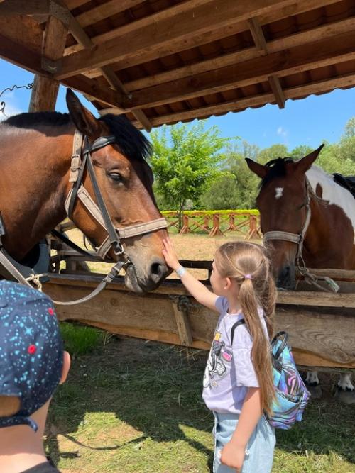Вчера посетили праздник Русалье в парк - музее интерактивной истории Сула. 01