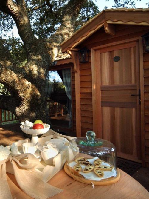 Дом на дереве в Тоскане: когда мечта становится пространством для жизни. 04