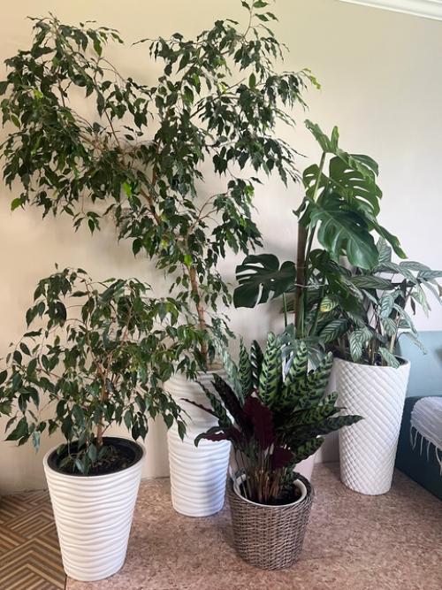 У меня пополнение! 01