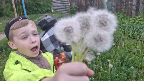 Цветы - маркер бесполезности в отношениях. 07 Цветы - маркер бесполезности в отношениях. 07