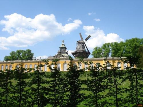 Дворец сан - суси (Sanssouci). 05