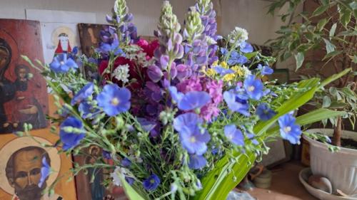 Цветы - маркер бесполезности в отношениях. 01 Цветы - маркер бесполезности в отношениях. 01