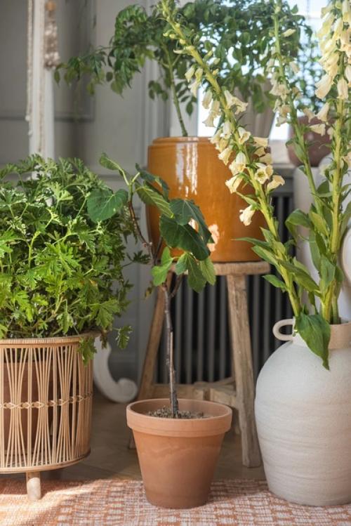 Как создать летнюю романтику в интерьере с помощью цветов, пастельных оттенков и текстиля. 05